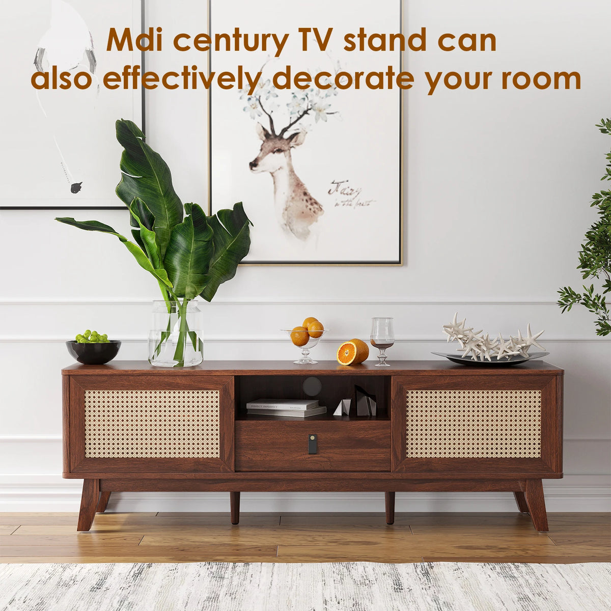 Rattan Door Media Console